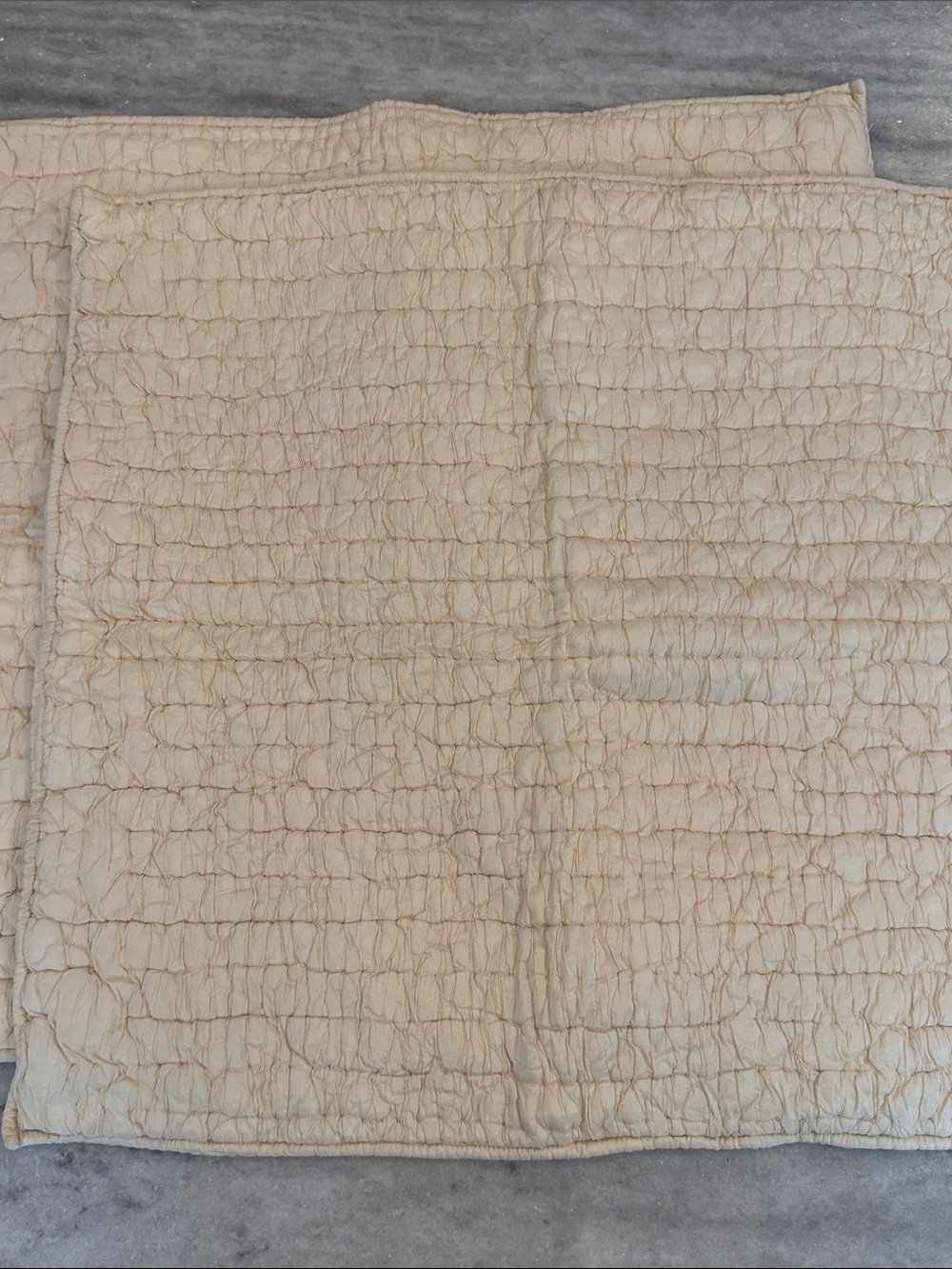 NEW Eileen Fisher Ivory Silk Continental/ Euro Pillow Shans - Set of 2